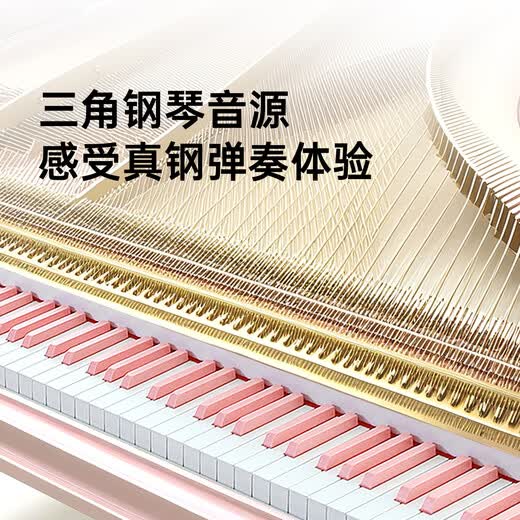 贝多辰（Beethostar）电钢琴88键力度键电子钢琴便携成人儿童幼师演奏演出专业琴 88键标准版 官方标配