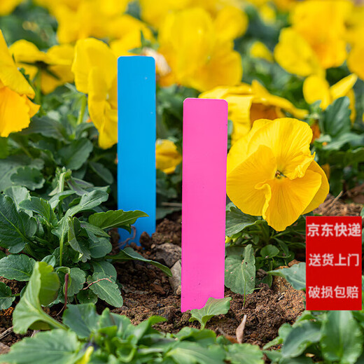 Plastic waterproof succulent bonsai ground brand gardening label one-word seedling flower pot flower name logo blue 2*10 (100 photos)