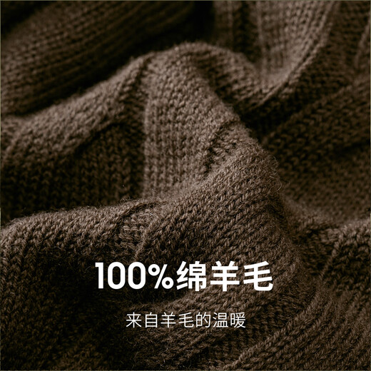 GIOVANNI VALENTINO Autumn and Winter Half Turtle Collar Zipper Style Full Wool Twist Sweater Men's Casual Loose Sweater Brown S