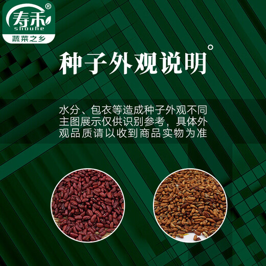 Shouhe Kirin watermelon seed seedlings with thin crispy skin and sweet autumn fruit seeds Weiyu Shoutian Kirin melon seeds 90 capsules