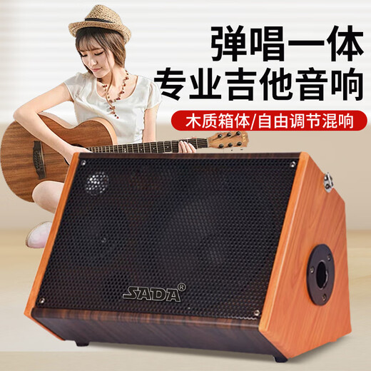Saida guitar speaker Bluetooth musical instrument audio professional playing and singing outdoor Bluetooth portable street with microphone karaoke performance live broadcast 6.5-inch saxophone audio