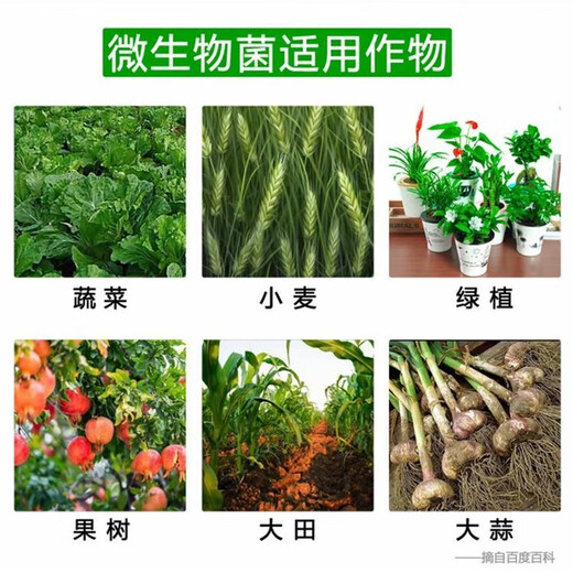 Jingshi No. 1 fungicide improves soil sterilization and disinfection powder, prevents soil transmission and resists repeated cropping, special microbial fertilizer 1500g*1 bag