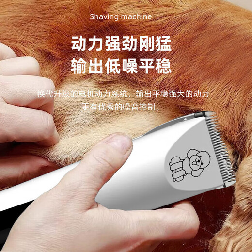 Pet shaver for trimming dogs and cats, electric hair clipper for dogs and cats, golden retriever Teddy pet hair clipper, luxury set (suitable for small and medium-sized pets)
