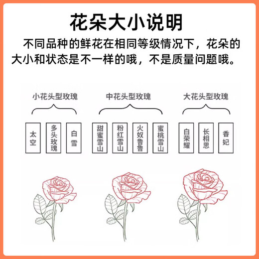 Jingdong Flowers Red Rose Boutique Soilless Culture New Year's Eve Flowers Valentine's Day Red Roses 10 Pack 45CM+ Straight from the Source