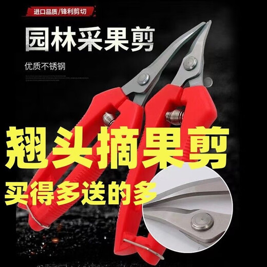 Fengxi thickened stainless steel fruit-picking scissors elbow scissors thinning fruit scissors for picking tomatoes and citrus scissors gardening scissors green thickened stainless steel long scissors with scissors 1 piece for trial