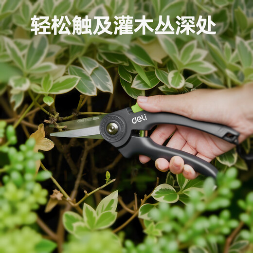 Deli pruning scissors, garden flower pruning branch scissors, fruit tree scissors, thick flower shears, gardening scissors tools, floral pruning shears, double-sided blade/extended straight mouth