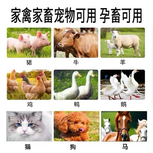 Fast Retailing Vitamin D3 Calcium Supplement Veterinary Cartilage Spirit Egg Chicken Duck Goose Pig Cattle Sheep Pet Cats and Dogs Bone Strengthening Powder Feed Additive 5 Packs Free 1 Pack (Send 6 Packs)