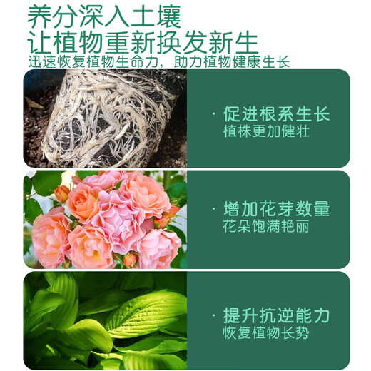 Plant Rejuvenation Liquid Flower Green Plant Rose Money Tree Special Concentrated Nutrient Solution Yellowing and Falling Leaves Rapid Rooting Liquid Shunhui Yuanfeng Resurrection Liquid 50ml 1 bottle + dripper