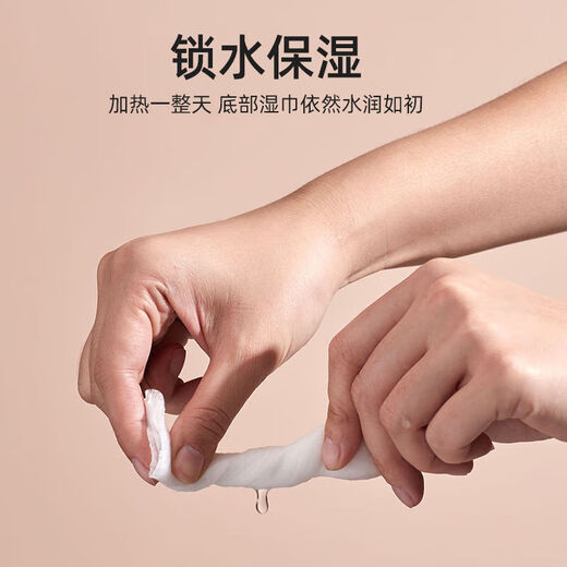 Sanqihu Wet Wipes Heater Rechargeable Smart Baby Wet Wipes Warmer Baby Wet Wipes Thermostat Warm Wet Wipes Mint Green - Baby Grade Material Stainless Steel Heating Panel - Adjustable Temperature (USB Cable)