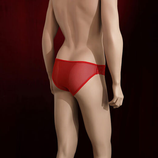 Men's crotchless lace underwear, sexy pure lust, hot special briefs shorts, thong underwear for men, black, one size fits all