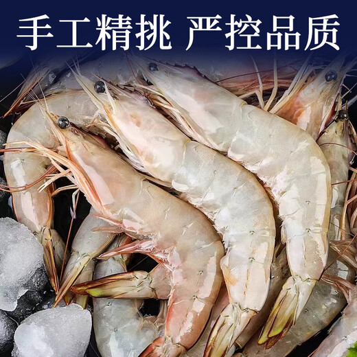 Xianjing wild-caught shrimp, net weight 3Jin Jin equal to 0.5kg/box 30-45 pieces/box