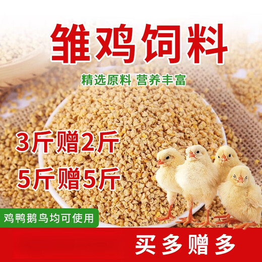 Chick feed opening feed chicks duck goose bird feed medium large chicken feed full price chicken feed fishing nest nutritional protein feed young chick feed 021 day small particles buy 250g get 250g free trial