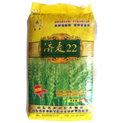 济麦22小麦种子山东农科院育矮秆抗倒大穗原种冬小麦种子 济麦22原种2斤散/山东农科院选育