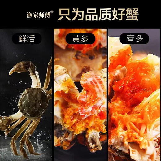 Live Crab Fisherman Master Hairy Crab Whole Female 2.5-2.8 Liang 8 Pieces Full-weight Fresh Crabs in Stock Fresh Aquatic Seafood Gift Box