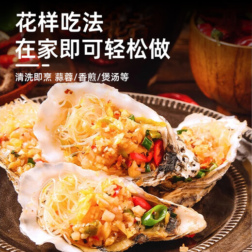 Haidingji Frozen Oyster Meat 800g (400g*2) Oyster Meat Hot Pot BBQ Ingredients Seafood Fresh New Year's Eve