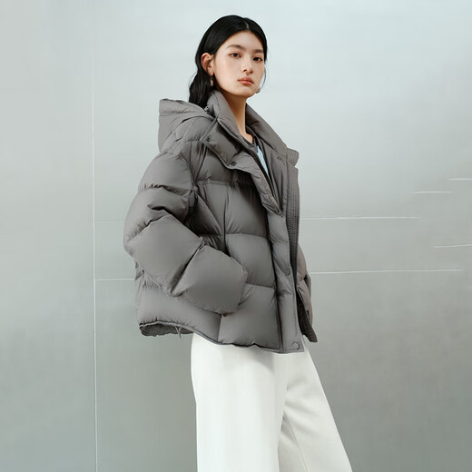 Ai Lai Chen Turin same style women's down jacket 2025 puff short hooded drawstring warm winter coat nightingale gray M
