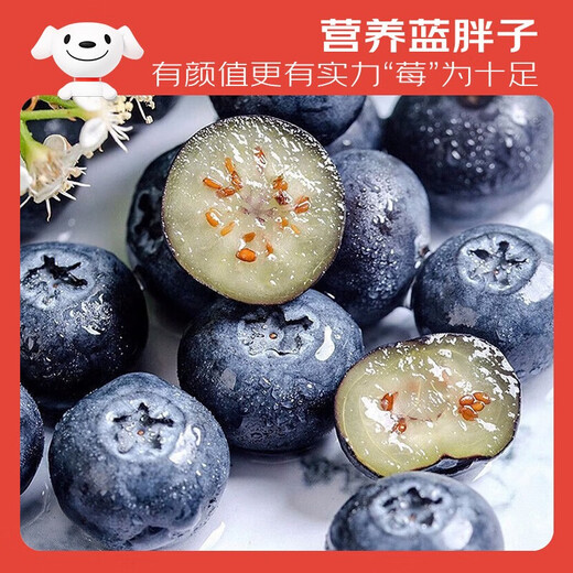 Jingxiansheng Yunnan Blueberry 22mm+ Extra Large Fruit 6 Boxes Net Weight 125g/box Fresh Fruit