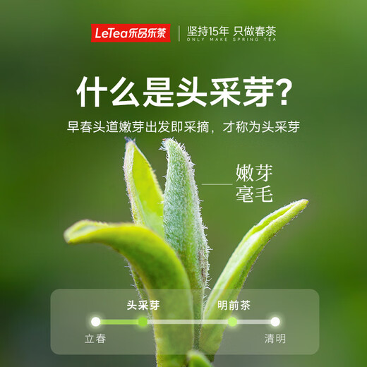 Lepinle tea head bud picking premium Biluochun green tea 2025 new tea Mingqian bud high-end tea gift box gift box 250g