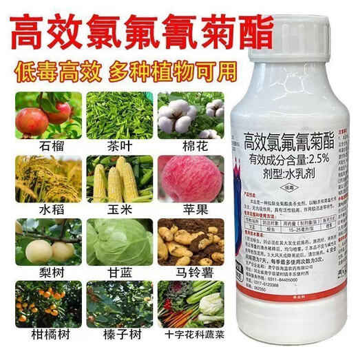 Insecticida cihalotrina de alta eficiencia, pesticida para cultivos de hortalizas, frutas, madera, insecticida, repollo, oruga, pulgones, gusano cogollero de algodón, 500 g, 2 botellas