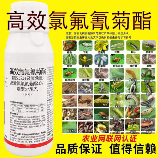 Insecticida cihalotrina de alta eficiencia, pesticida para cultivos de hortalizas, frutas, madera, insecticida, repollo, oruga, pulgones, gusano cogollero de algodón, 500 g, 2 botellas