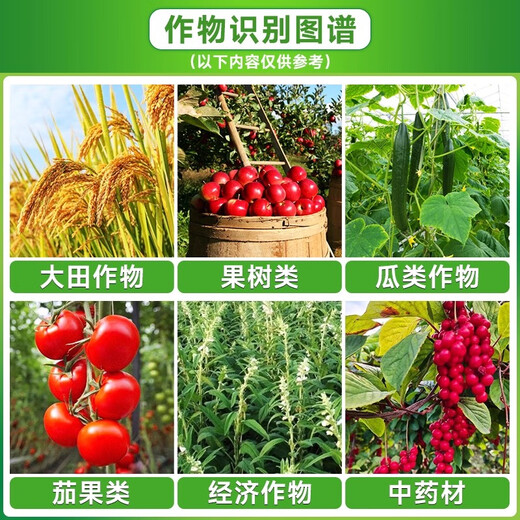 10% benzylamine alkanol rice wheat fruit tree tomato expanded fruit pesticide plant growth regulator 100g (2 bottles)