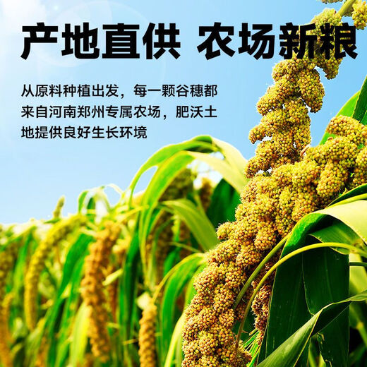 Bird food eaten by budgerigars Black Phoenix Munnia shelled millet red millet bird feed yellow millet mixed shelled yellow grain parrot nutritional food 2555g yellow millet parrot food