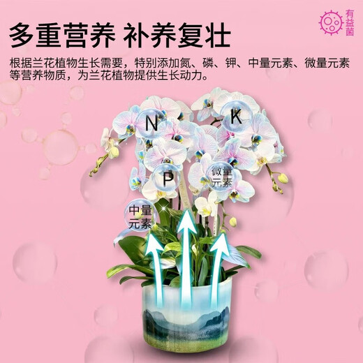 Special fungi for flowers, microbial inoculant, root strengthening, root root prevention, root rot prevention, water-soluble fertilizer, orchid bacteria powder, fertilizer, plant live bacteria powder, plant live bacteria powder 250g, garden version, 4 bottles, high discount