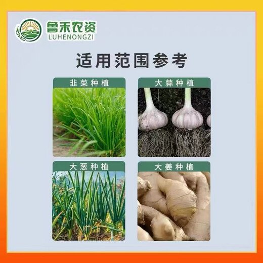Garlic planting special early rooting and fast rooting seedlings to improve nutrition garlic Kangbacteria microbial agent prevention Garlic Bacteria Genuine original 500g * 1 bottle