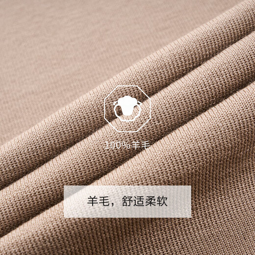 Jiumuwang Shopping Mall Same Style 100% Wool Men's Wool Sweater Men's 25 Spring and Winter New Style Comfortable Soft Wool Interior Slim Version + Khaki + CK1E50122 S 165/88A(46)