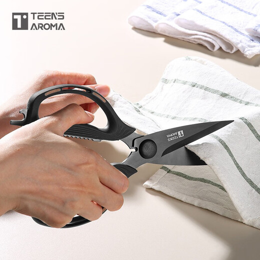 特恩斯厨房专用剪家用大号多功能不锈钢镀钛防锈剪子 钛岩黑