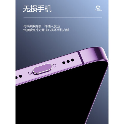 Mu Nian is suitable for Apple 17ProMax mobile phone charging port dust plug iPhone17 data port power plug 17Pro power port metal plug Air anti-dust plug plug 17/17Pro/17Promax silver x2 set