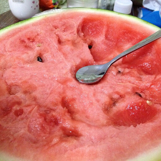 Zhongke Maohua melon and fruit seeds 16 degrees rock sugar Kirin watermelon seeds 8424 Hainan Kirin melon melts in the mouth thin skin Jingxin 16 degrees rock sugar Kirin 5g/bag