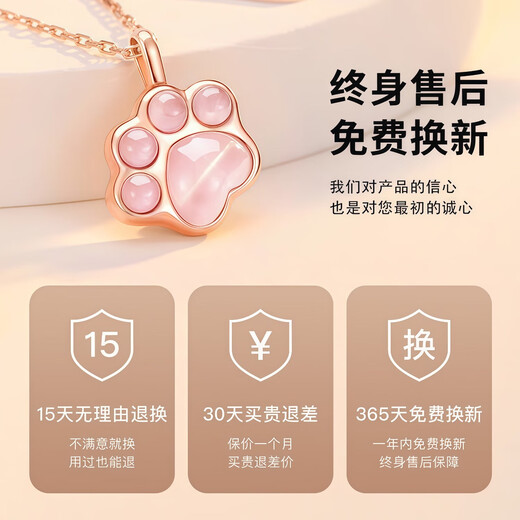 Central Chuang Fashion Chinese Gold and Silver Necklace for Girls Light Luxury Niche High-end Girl Birthday Gift for Lady Girlfriend Best Friend S925