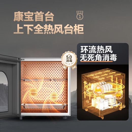 Canbo Disinfection Cabinet Household Full 304 Stainless Steel Plate Rack Vertical Double Door Large Capacity Mother and Baby Bottle Kitchen Tableware Two-Star Hot Air Disinfection Cabinet Cupboard Two-Star 55L Double-layer 304 Plate Rack Desktop Height 495