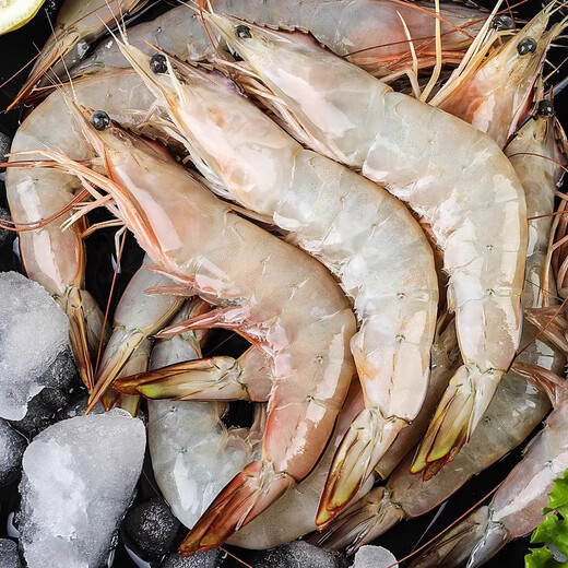 Xianjing wild-caught shrimp, net weight 3Jin Jin equal to 0.5kg/box 30-45 pieces/box
