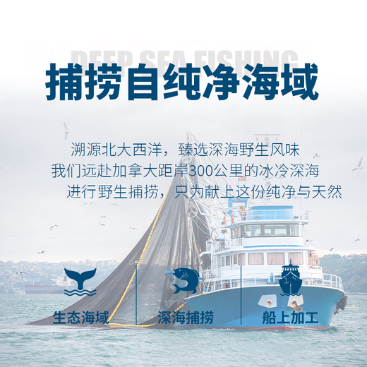 Clearwater Canada imported arctic clams 350gM size whole arctic clams 0 add 25-30 pieces/box