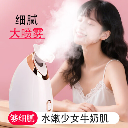 Hot spray facial steamer to hydrate and moisturize, household facial steamer, beauty instrument, delicate spray machine, facial humidifier, nano spray to hydrate, girlfriend and elders Christmas gift 904 white
