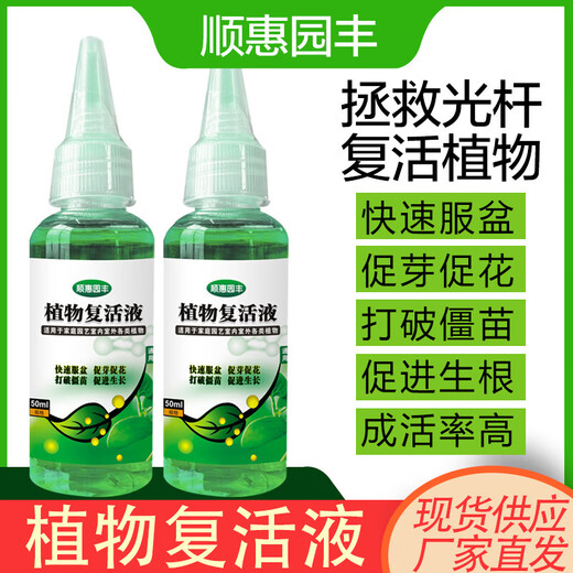 Plant Rejuvenation Liquid Flower Green Plant Rose Money Tree Special Concentrated Nutrient Solution Yellowing and Falling Leaves Rapid Rooting Liquid Shunhui Yuanfeng Resurrection Liquid 50ml 1 bottle + dripper