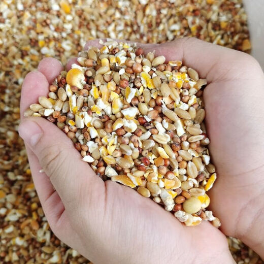 Sorghum, wheat and chopped corn mixed to feed chickens, corn crushed residue, corn grits, chicken and duck grain, pigeon grain, rabbit, pig, hamster, 7Jin Jin equals 0.5 kg (sorghum + wheat + chopped corn mixed)