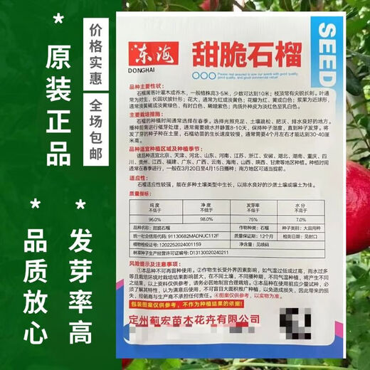 Sweet and crisp pomegranate seeds, pure sweet pomegranate seedlings, cold-resistant balcony garden potted ground planting seeds planted in the south and north, sweet and crisp pomegranate seeds, 3 packs of about 150 grains