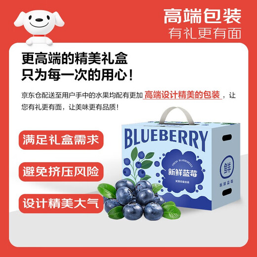 Jingxiansheng Yunnan Blueberry 22mm+ Extra Large Fruit 6 Boxes Net Weight 125g/box Fresh Fruit