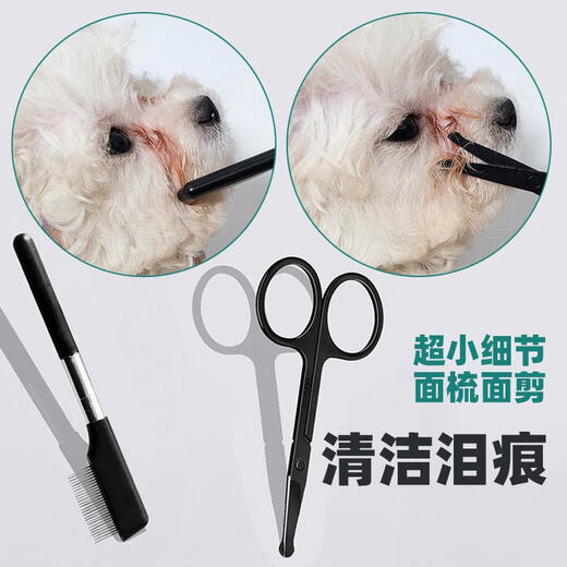 Bichon Yorkshire dog special tear comb Maltese eye worms face comb scissors hair cutting artifact yellow cleansing comb + cleansing scissors