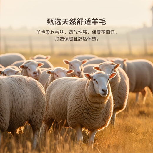 K-Boxing 100% wool K-Boxing men's autumn and winter short woolen jacket NDWN3365 black XL