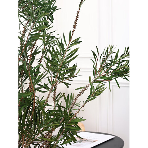 YWZR Buddha beads long branches dried flowers bouquet living room decoration vases wabi-sabi wind flower arrangement dried branches branches natural real flowers immortal flowers stone grain beige ceramic vase