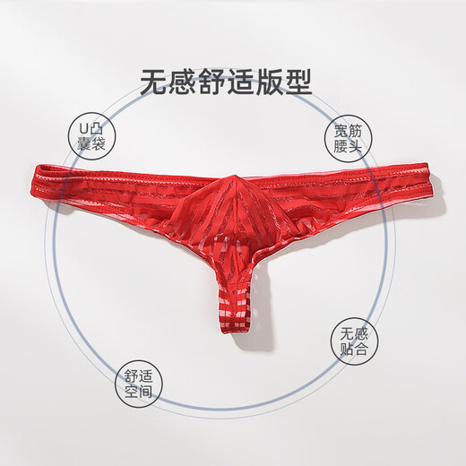 Men's mesh underwear transparent striped thong low-waist sexy thin bag underwear men's youth T-pants white M