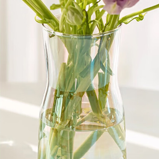 Love Has Candy Simple Colorful Glass Vase 17cm Birthday Gift Living Room Ornament Hydroponic Container Green Plant Vase