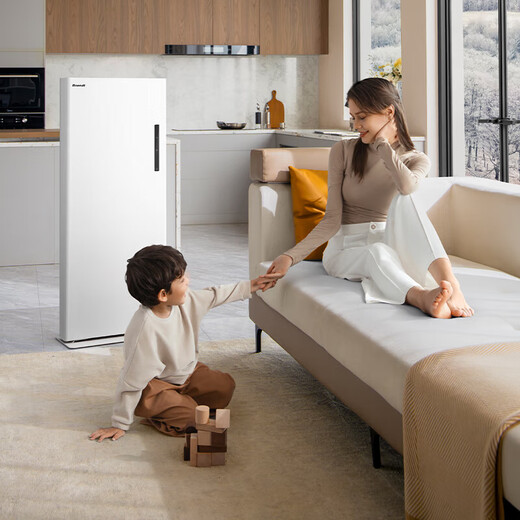 Brandt French Blanc whole house heater home radiator electric heater fast heating fan vertical living room large area energy-saving electric heating fast heating furnace 2025 new flagship H22