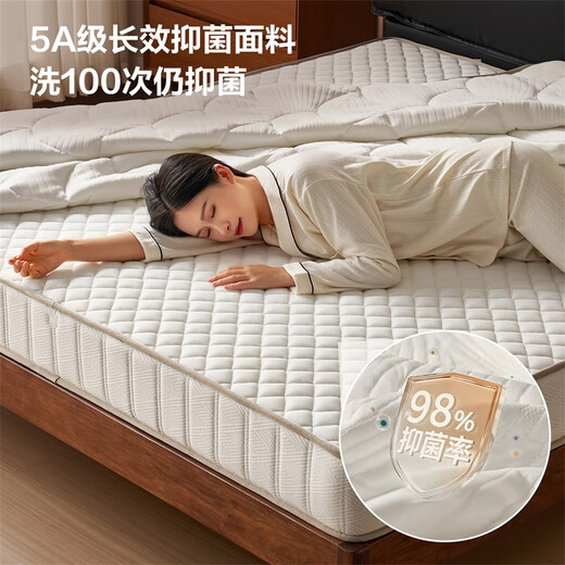 Quanyou home spring mattress 20cm thick household natural coconut palm ridge-protecting tatami mattress 1.8m