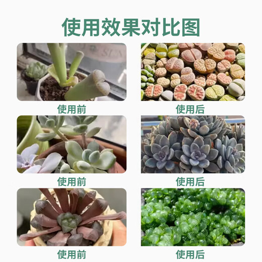 OUOETY succulent chlormequat nutrient solution is specially used to prevent and control leggy growth, increase color and enhance the growth of roots. Chlormequat is a dilution-free fertilizer to assist growth B. Chlormequat 500ml comes with a watering can +