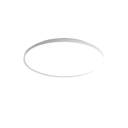 Baishian Fire Emergency Lighting Emergency Ceiling Light Evacuation Channel Lighting Corridor Shopping Mall Power Outage Emergency Light 30CM Always On 12W